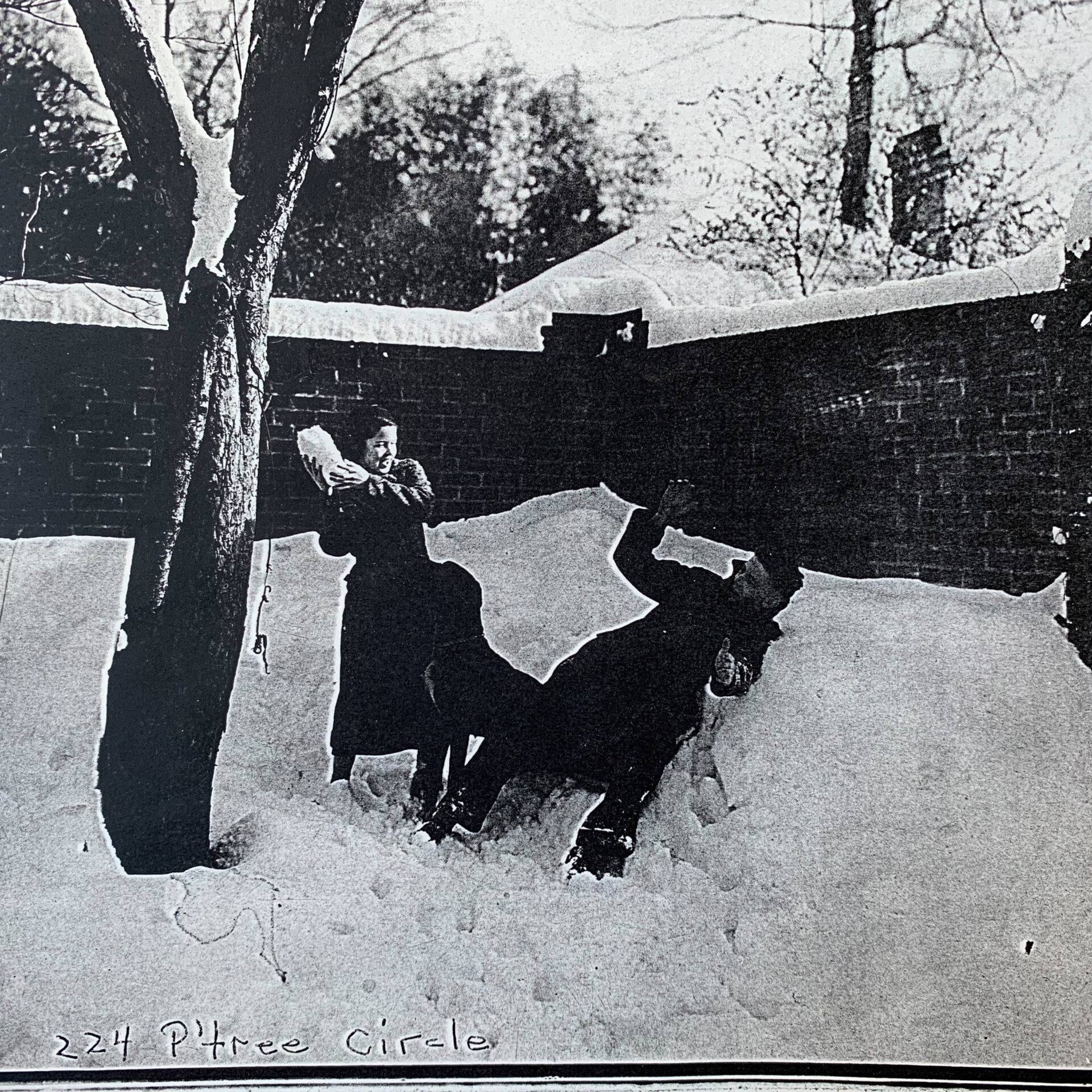 Jule, Queen,Marvin at 224 Peachtree Circle